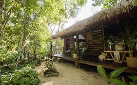 Madre Tierra Eco Habitat